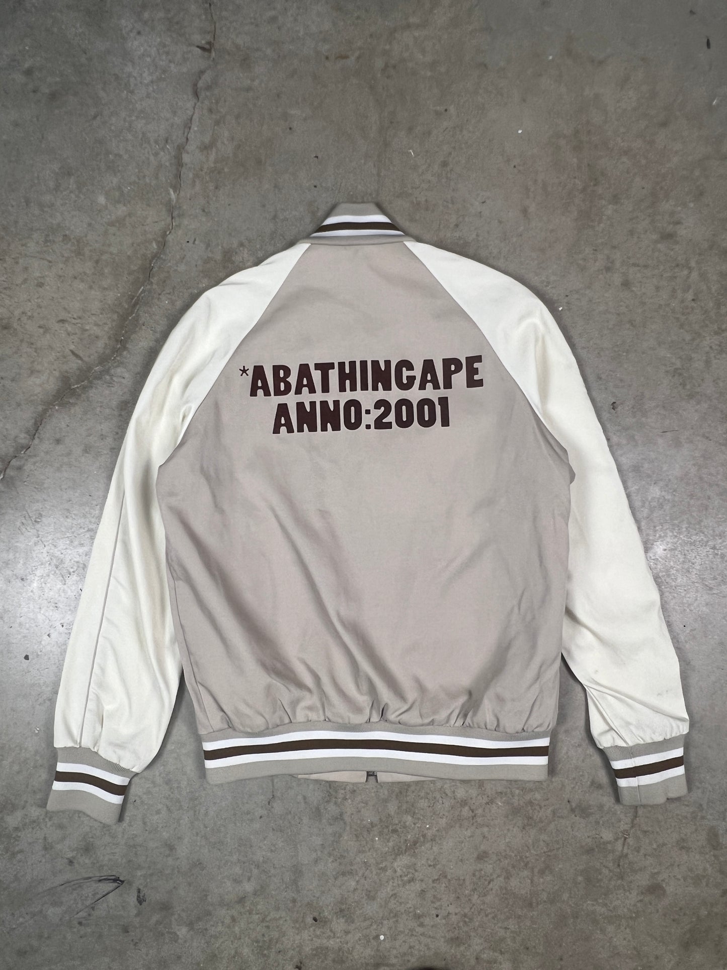 BAPE 2001 Coach Jacket